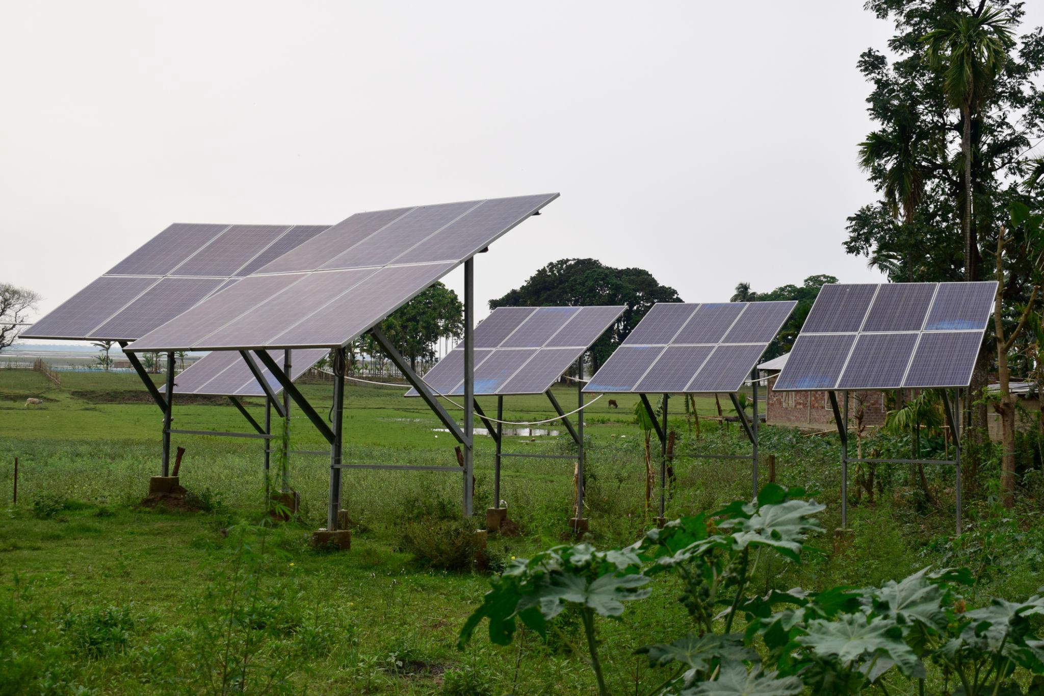 Your Trusted Partner in Solar Park Development